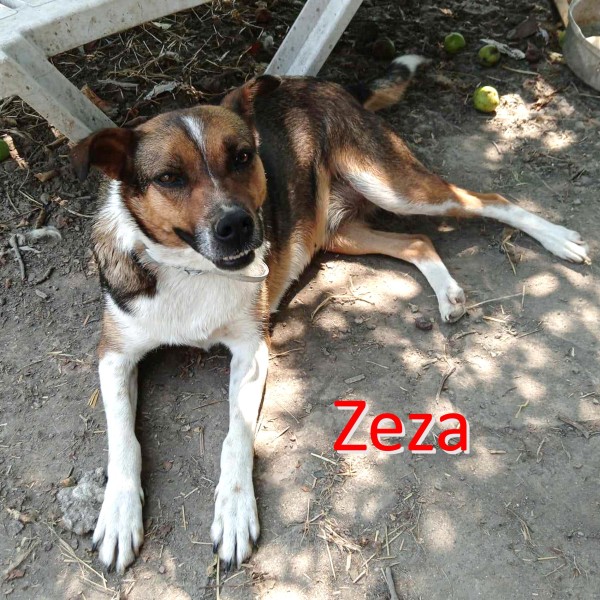 ZEZA