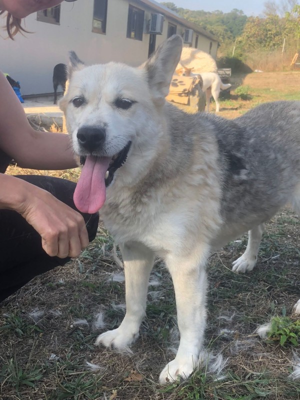 YUKA