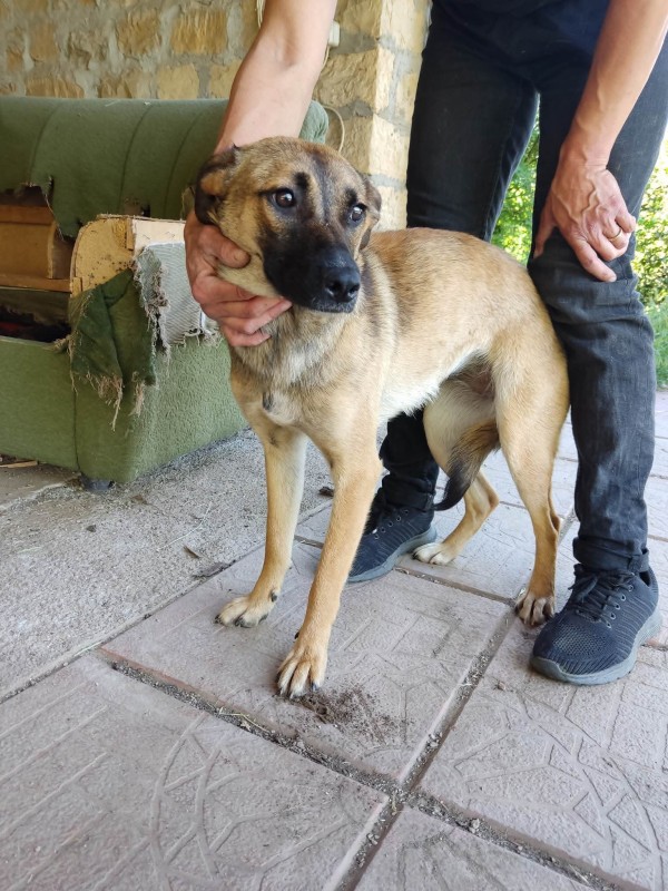 VALI