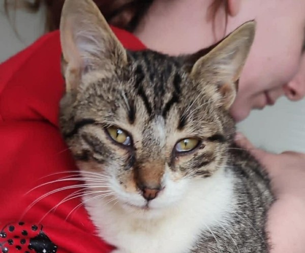 PIETRO is eagerly waiting for a home - your new loyal friend from the shelter