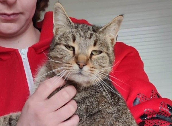 PRIMROSE is eagerly waiting for a home - your new loyal friend from the shelter