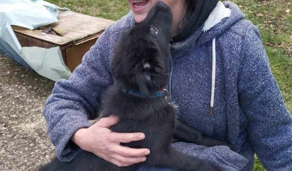 ANNI is eagerly waiting for a home - your new loyal friend from the shelter