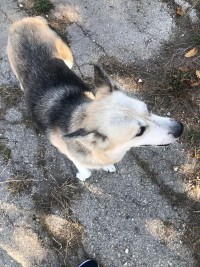 YUKA