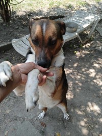 ZEZA