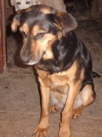 VELENTEEN