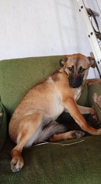 VALI