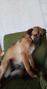 VALI