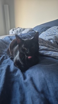 SOPHIE