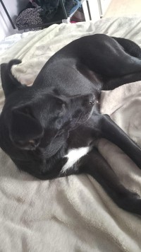 HACITA