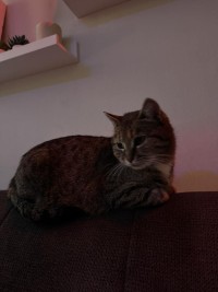 CHARLISE