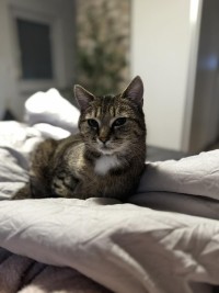 CHARLISE