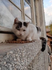 CHOCHKO