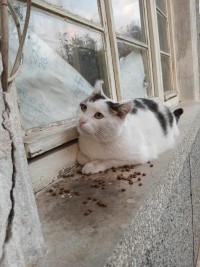 CHOCHKO