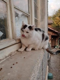 CHOCHKO