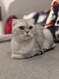 DAGNY