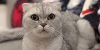 DAGNY