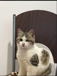 JAKOBY