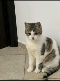 JAKOBY