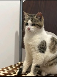 JAKOBY