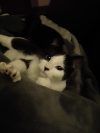JERRY