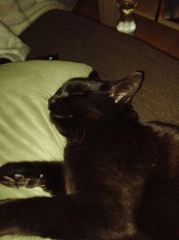 TOM