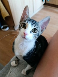 KRASEN