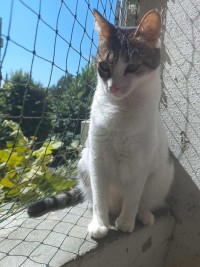 LENA
