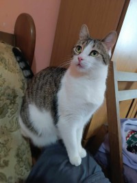 LENA