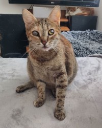 LUNA