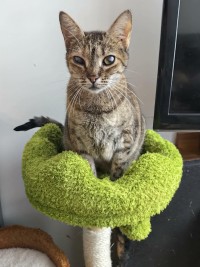 LUNA