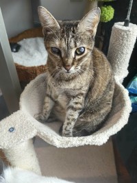 LUNA