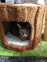 LUNA