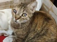 LUNA