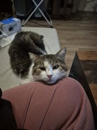 MICHA