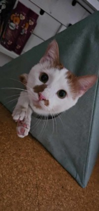 MONTY