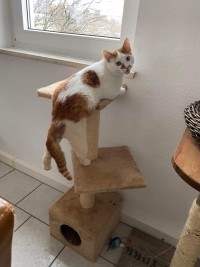 MONTY