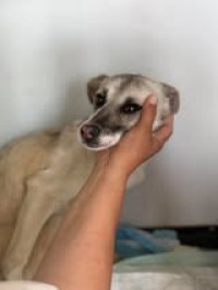 MIRI